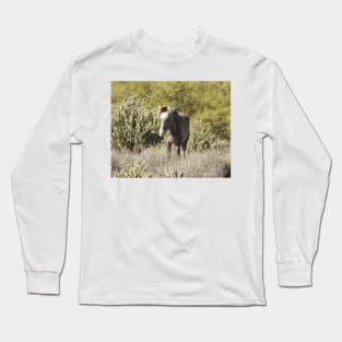 Wild horses, wildlife, gifts, Arizona, Wild and Free Long Sleeve T-Shirt